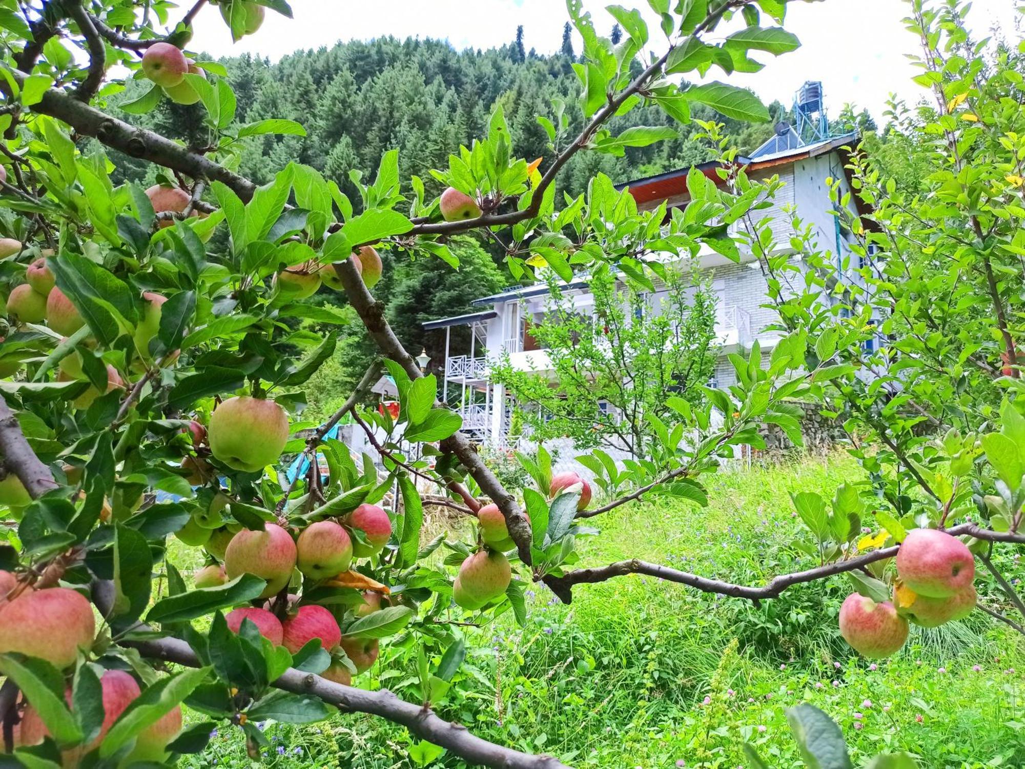 Baan By Snow City Farm Vashist Dış mekan fotoğraf