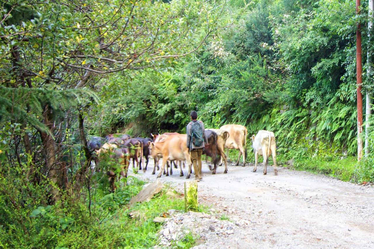 Baan By Snow City Farm Vashist Dış mekan fotoğraf
